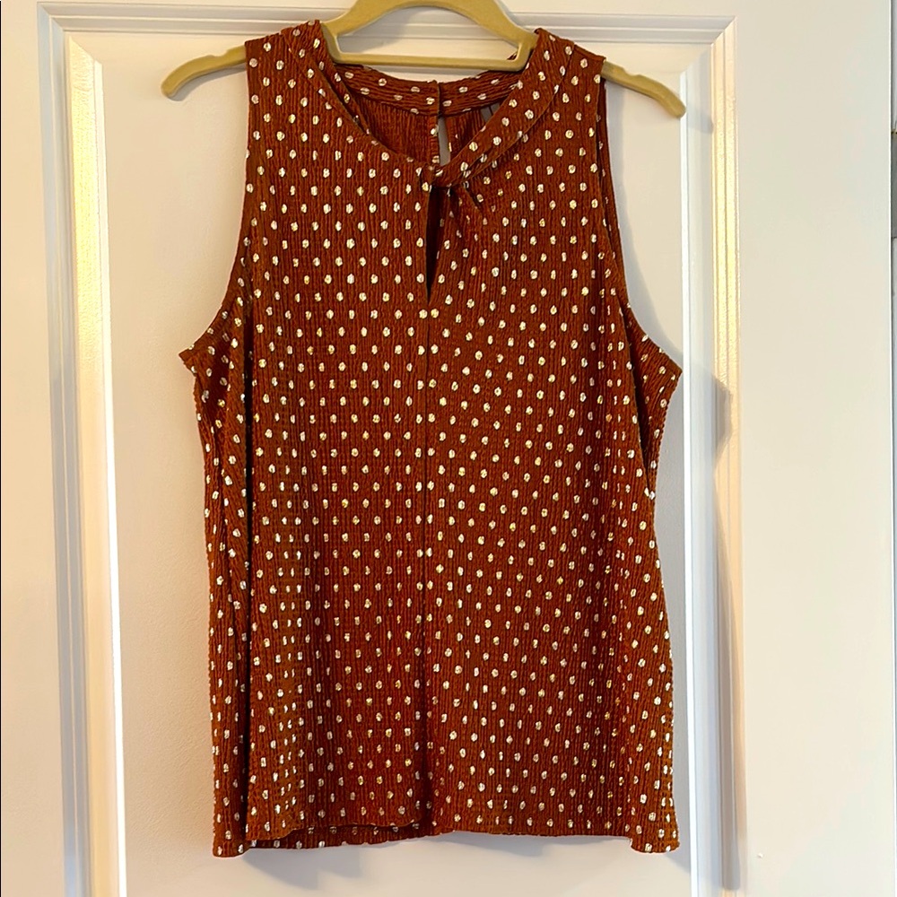 Anthropologie Blouse with Gold Polkadots